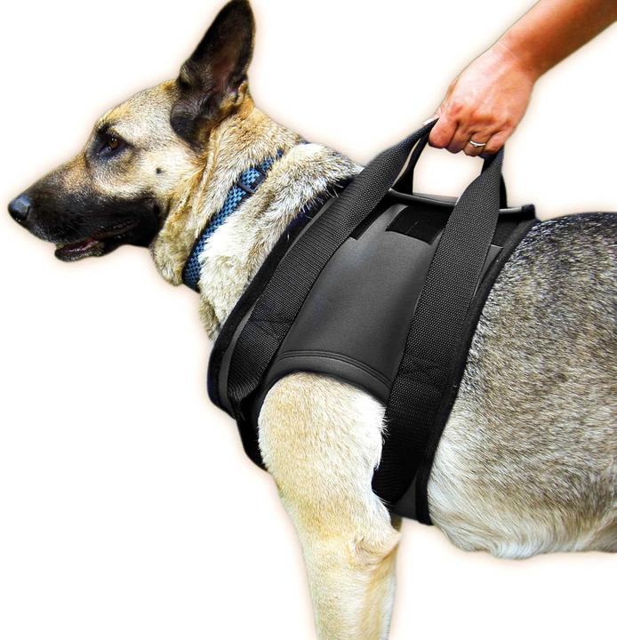 Actual product image Julius-K9 Walking aid harness (S, Dog, General)