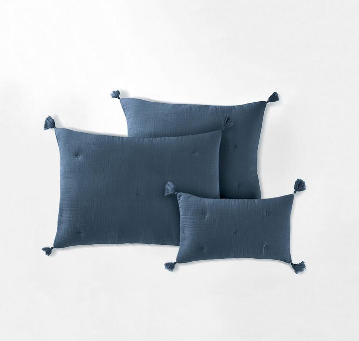 Bleu de Prusse