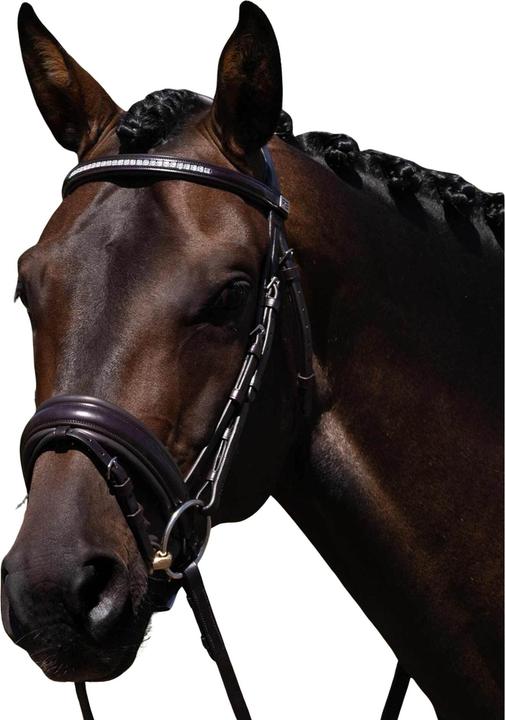 Produktbild Premier Equine Castello