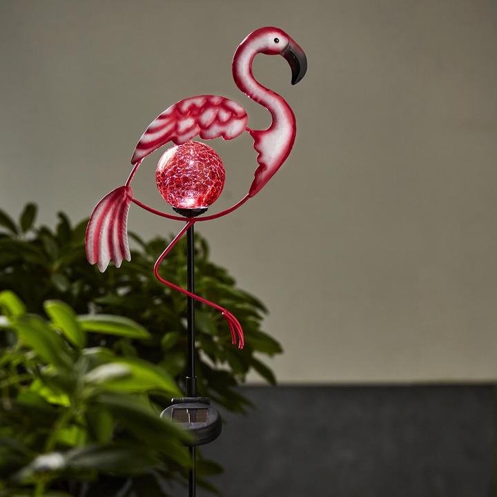 Image du produit Star Trading Flamant rose (IP44)