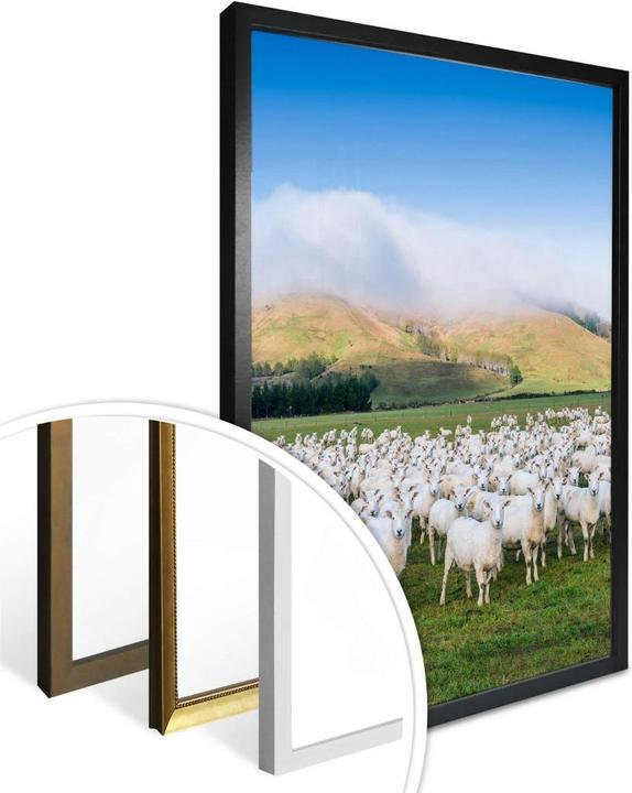 Produktbild Trenddeko Schafherde in Neuseeland (80 x 100 cm)