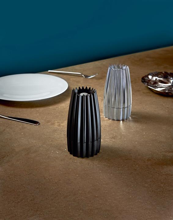 Image du produit Alessi Grind (Sel, Poivre, Sel marin, Différentes épices)