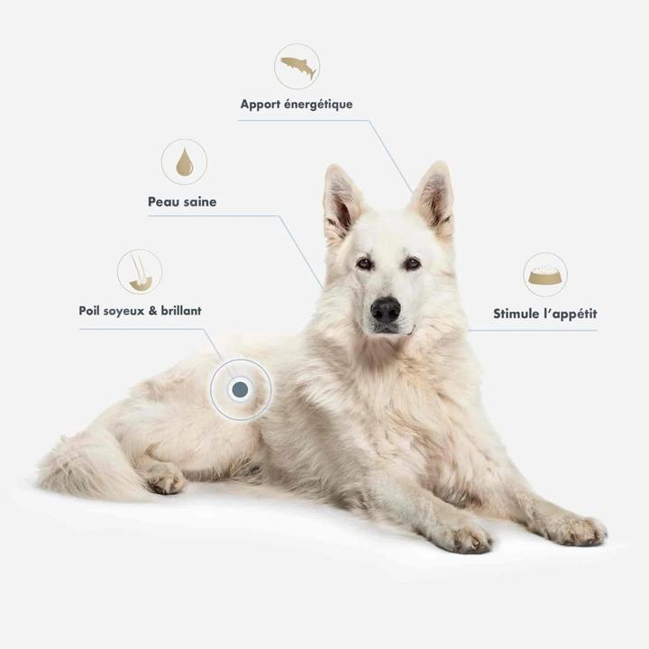 Image du produit Ultra Premium Direct Huile de saumon / Lachsöl (Chien, 500 ml)