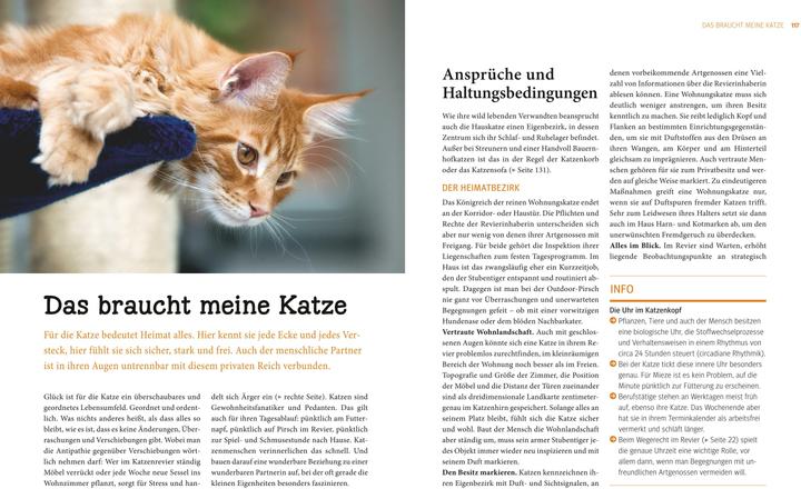 Actual product image Katzen (German, Gerd Ludwig, 2013)