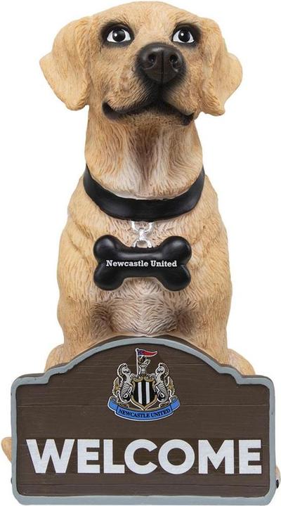 Image du produit Newcastle United FC Nain de jardin Labrador