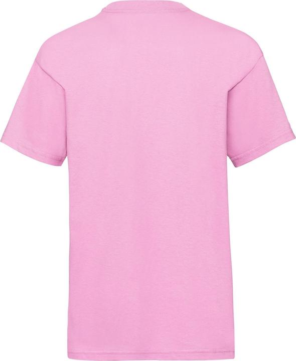 Actual product image Fruit of the Loom Childrens/Kids Value T-Shirt (140, 146)