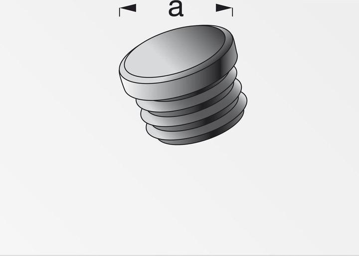 Actual product image Alfer Lamellar plugs