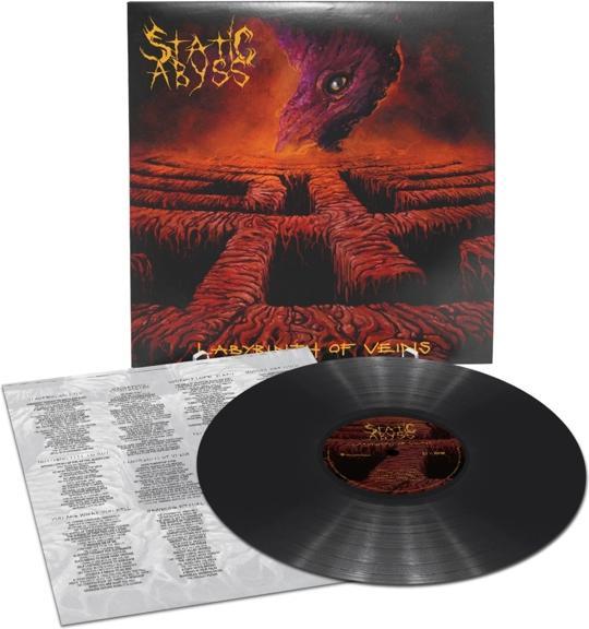 Actual product image Labyrinth Of Veins (Black Vinyl) (Static Abyss, 2022)