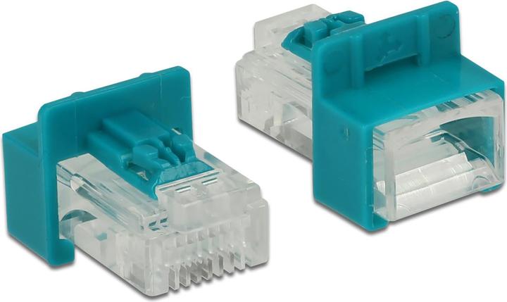 Actual product image Delock RJ45 latch clip with plug (Network cable plug)
