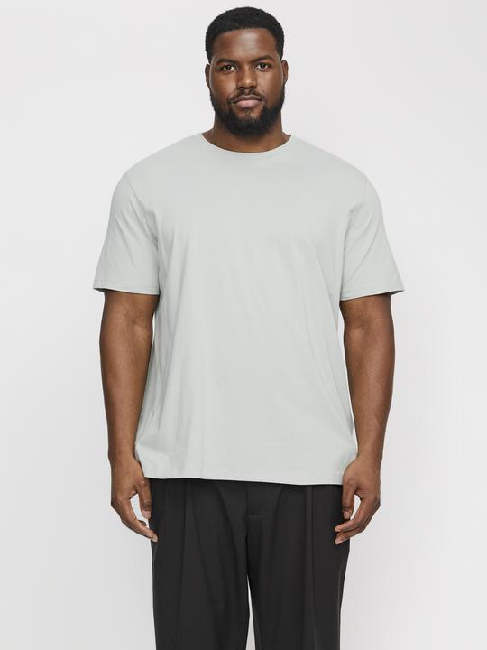 Produktbild Jack & Jones Jjeorganic Basic Tee Ss O-Neck Noos Pls (XXL)