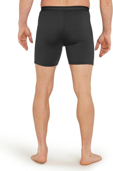 Produktbild Icebreaker Anatomica Long Boxers (S)
