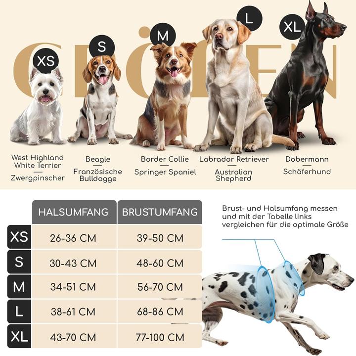 Produktbild Freudentier Hundegeschirr mit Griff (M, Hund)