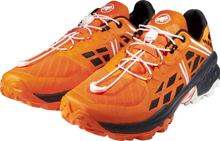 Immagine prodotto Mammut Sertig TR Low GTX Donna (40)