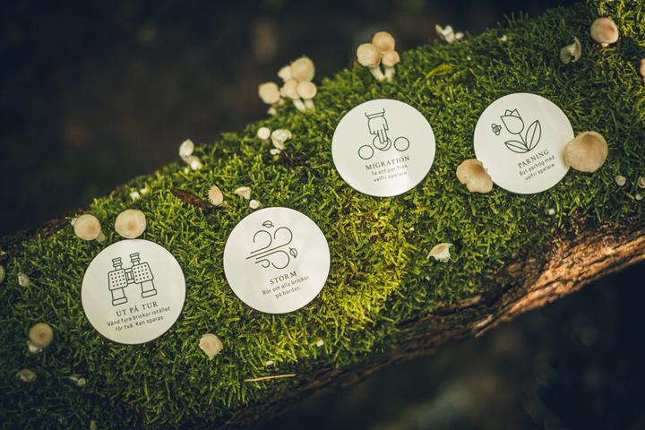 Produktbild Ninja Print Skogen (Memoryspel)