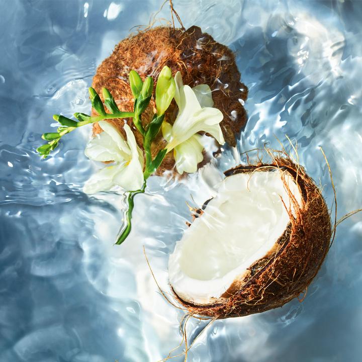 Image du produit Guerlain Aqua Allegoria Coconut Fizz (Eau de toilette, 75 ml)