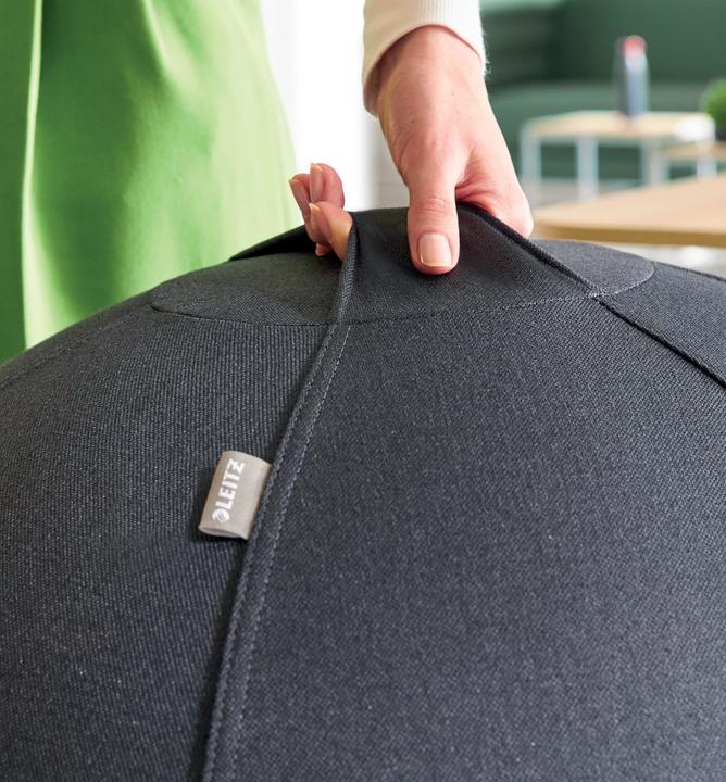 Image du produit Leitz Sitting Ball Ergo Cosy (65 cm)