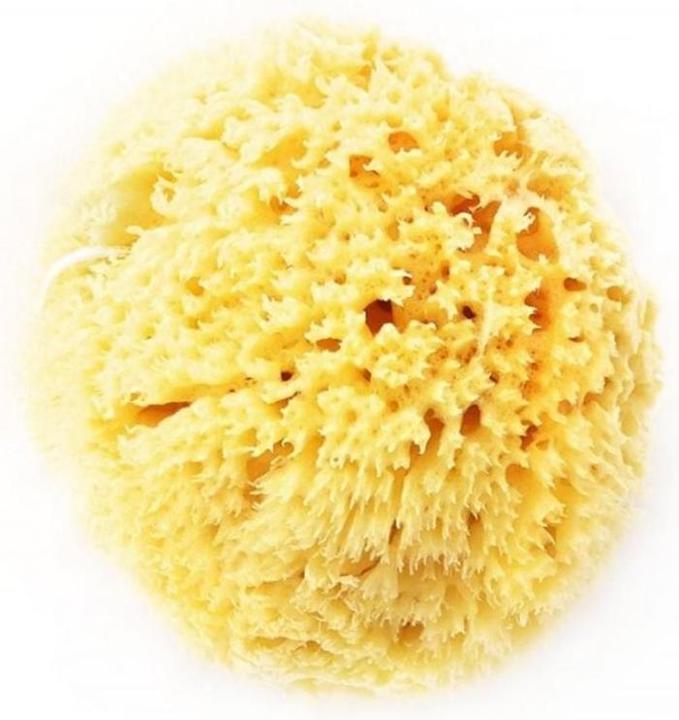 Image du produit Herba Éponge naturelle