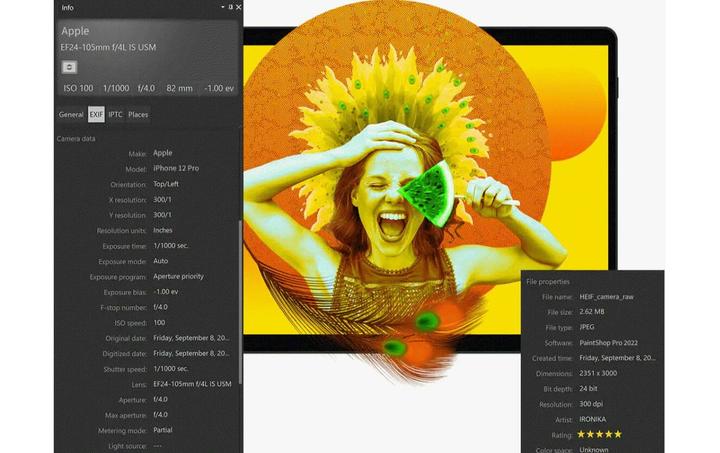 Actual product image Corel PaintShop Pro 2023 (Key) (1 User, 1 Devices/Users, unlimited)