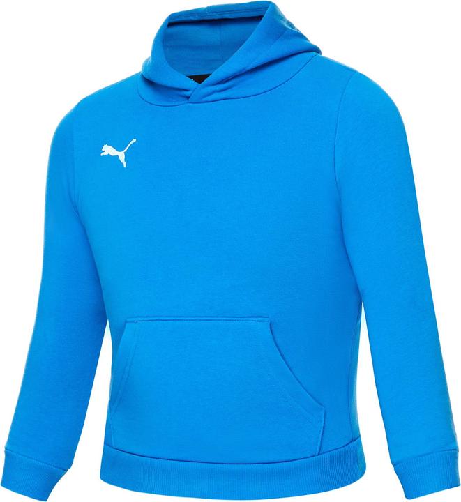 Produktbild Puma teamGOAL 23 Casuals Hoody Jr-656711 (152)