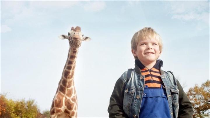 Image du produit Plaion Mon amie la girafe (Blu-ray, 2017, Allemand)