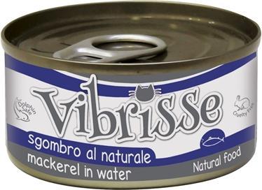 Immagine prodotto Vibrisse konservai katėms su skumbre 70g 12vnt (24) (Adulto, 12 pz., 1680 g)