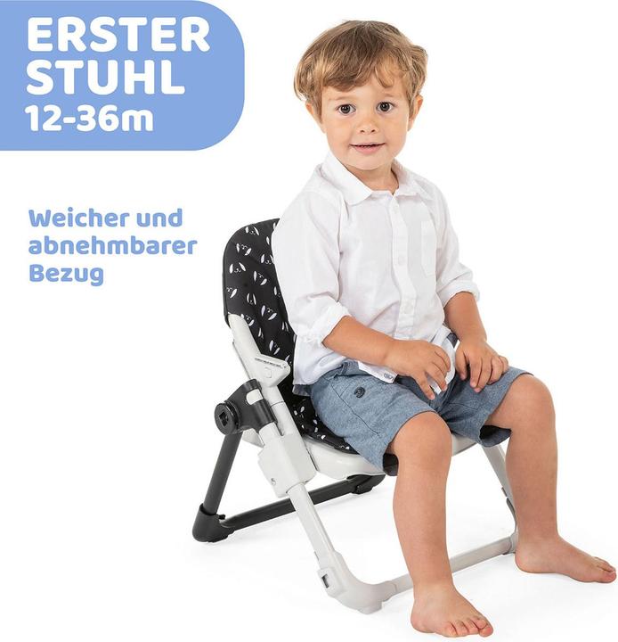 Immagine prodotto Chicco Chairy (Seggiolone)