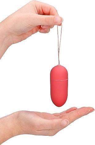 Actual product image Shots Vibrating egg