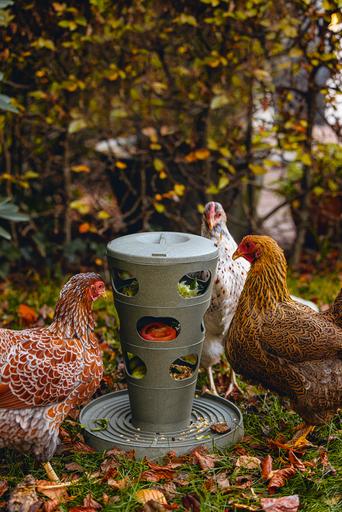 Image du produit Beeztees Mangeoire pour poules Tour d'alimentation, Gris
