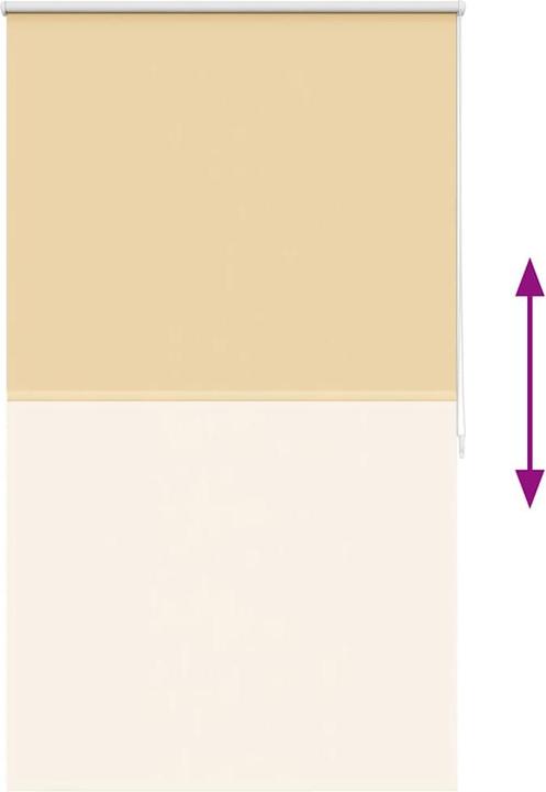 Image du produit VidaXL Rollo (80 x 175 cm)
