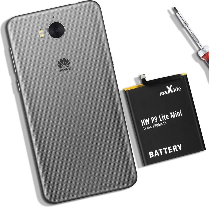 Image du produit Maxlife 2900mAh batterie supplémentaire
