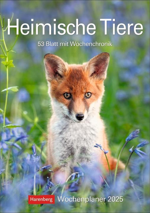 Image du produit Harenberg Animaux domestiques Calendrier hebdomadaire 2025 - 53 feuilles avec chronologie hebdomadaire (Couverture rigide, Allemand)