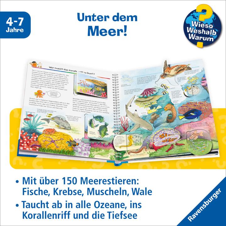 Produktbild Ravensburger Wir entdecken Meerestiere (Deutsch, Andrea Erne, 2015)