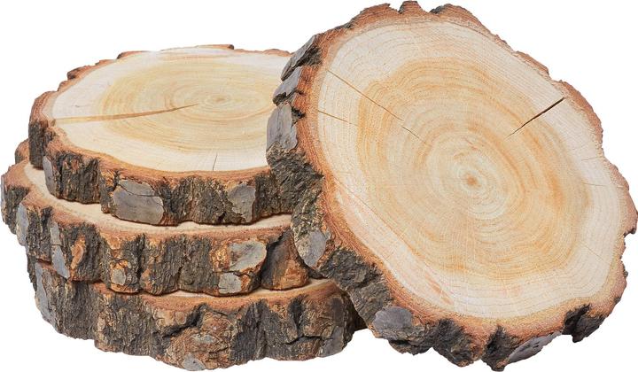 Image du produit VBS Rondelles d'arbre "Rond", 4 pièces