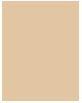 Actual product image MAC Cosmetics Pro Longwear Concealer (NC20)