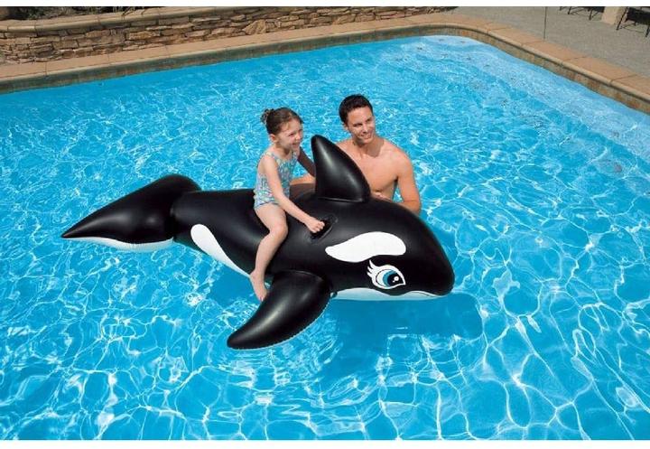 Actual product image Intex Whale