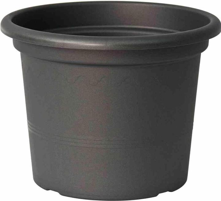 Anthracite/Gris