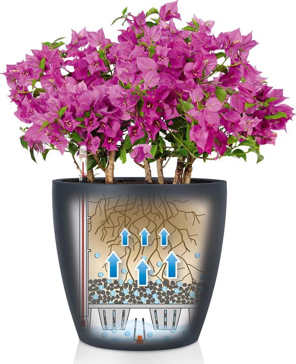 Image du produit Lechuza CLASSICO Couleur 18 (19 cm)