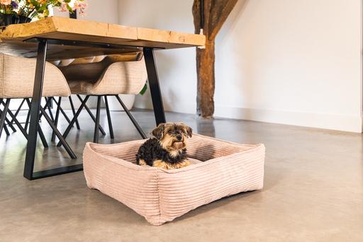 Actual product image Designed by Lotte Ribbed (Dog)