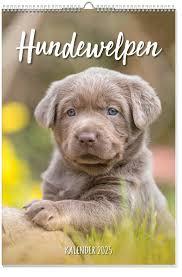 Immagine prodotto Poster calendario cuccioli di cane 2025 (Tedesco)