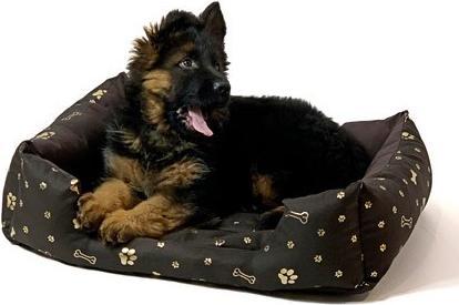 Image du produit Go Gift GoGift lair cube XL 75 x 55 x 15 cm brun (Chien)