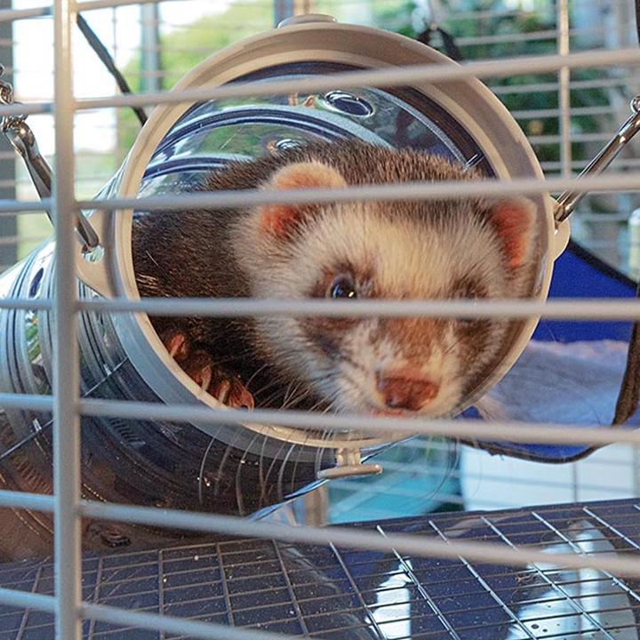 Immagine prodotto Ferplast Torre Furet