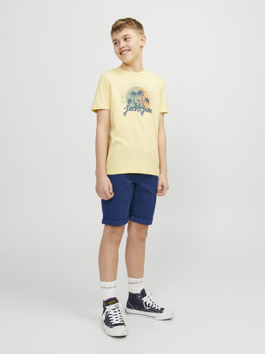 Actual product image Jack & Jones Jpstdavid Jjchino Shorts Akm Sn Mni (116)