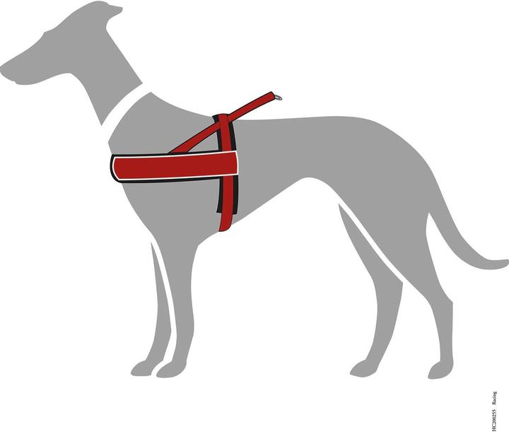 Immagine prodotto Hunter Harnas Norwegian Racing Nylon Rood / Zwart (Cane, Generale)