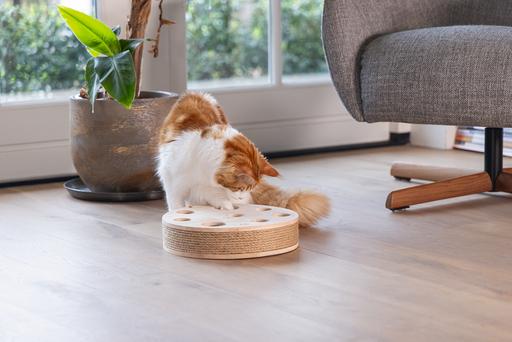 Image du produit Designed by Lotte Jouet pour chat Raya (Jouets avec herbe à chat)
