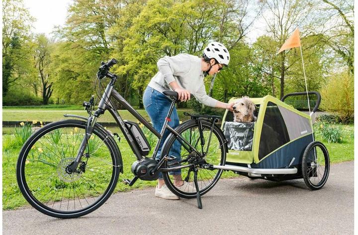 Actual product image Croozer Dog Jokke