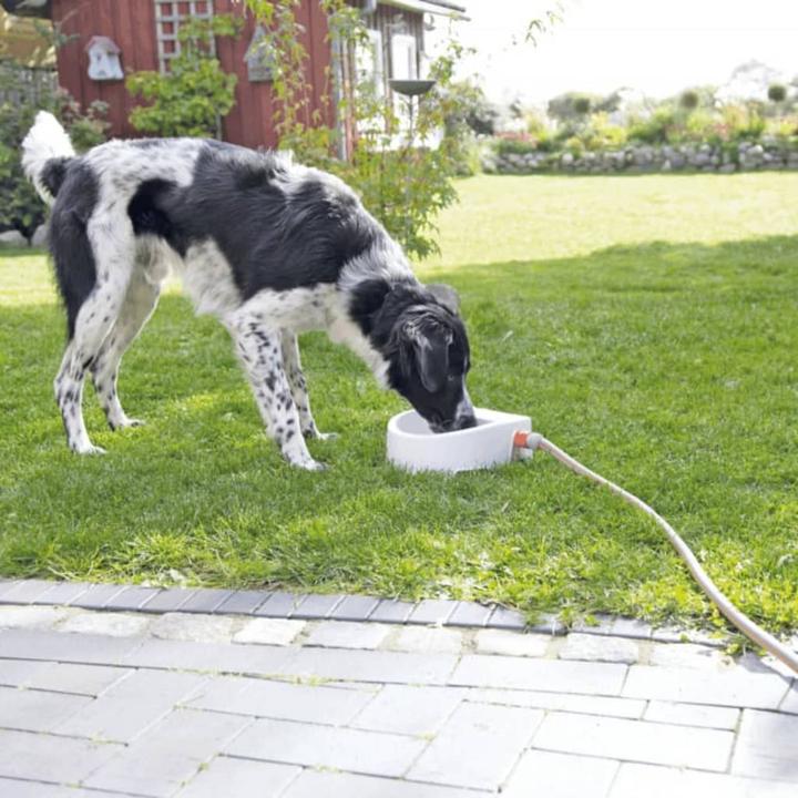 Actual product image Trixie Automatic outdoor dog bowls (1.50 l)