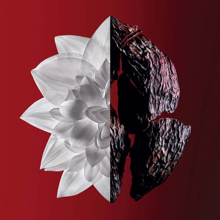 Actual product image Givenchy L'Interdit (Eau de parfum, 80 ml)
