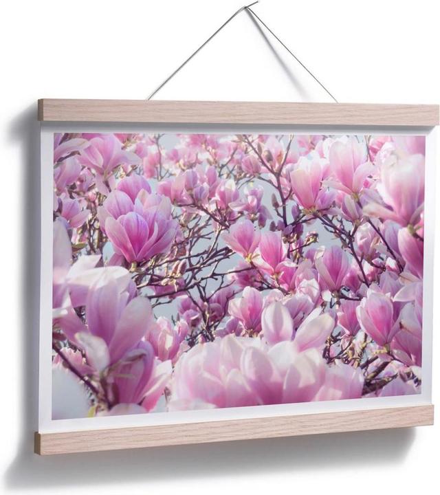 Image du produit Trenddeko Magnolia (30 x 24 cm)