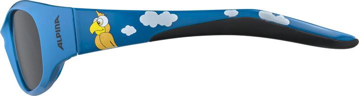 Actual product image ALPINA SPORTS Flexxy