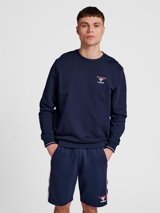 Actual product image hummel Ic Dayton Sweatshirt (S)